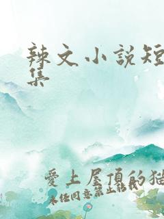 辣文小说短篇合集