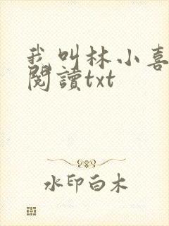 我叫林小喜免费阅读txt