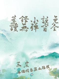 叶锋小说免费阅读无弹窗全文