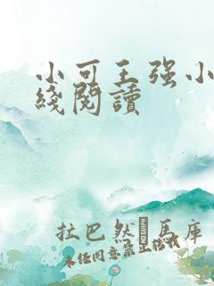 小可王强小说在线阅读