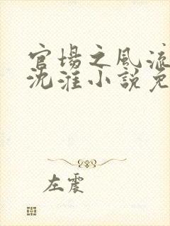 官场之风流人生沈淮小说免费阅读
