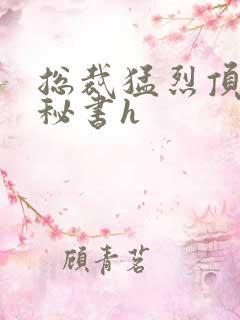 总裁猛烈顶弄h秘书h