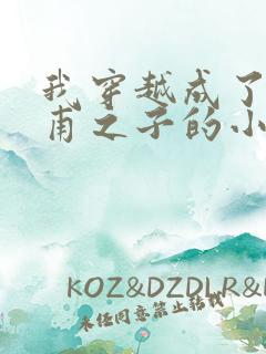 我穿越成了李公甫之子的小说