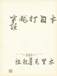 穿越打日本的小说