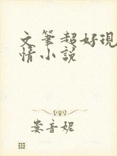 文笔超好现代言情小说