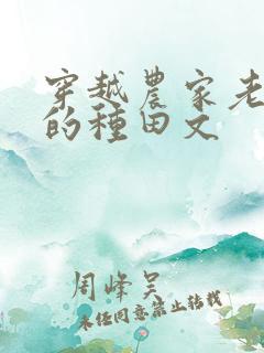 穿越农家老闺女的种田文