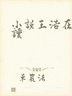 小说王浩在线阅读