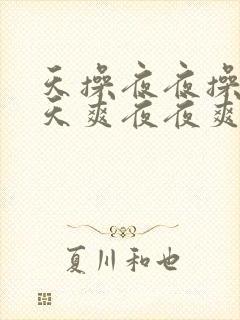 天操夜夜操,天天爽夜夜爽夜夜