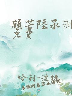 顾芒陆承洲小说免费