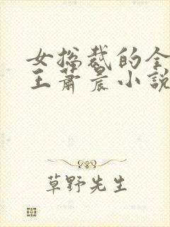 女总裁的全能兵王萧晨小说免费