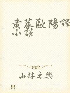 黄蓉欧阳锋番外小说