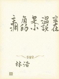 主角是温宁陆晋渊的小说在线阅读
