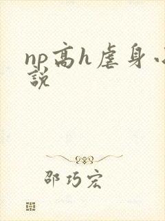 np高h虐身小说