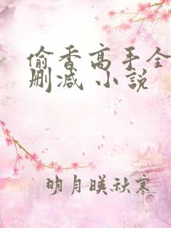 偷香高手全文无删减 小说