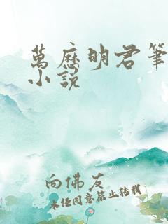 万历明君笔趣阁小说
