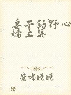 妻子的野心林凤娇上集