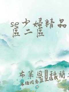 se少妇精品一区二区