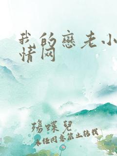 我的恋老小说言情网