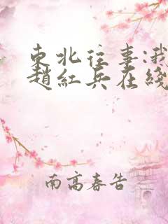 东北往事:我叫赵红兵在线完整版免费观看