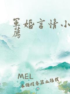 军婚言情小说推荐