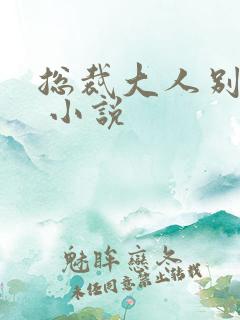 总裁大人别太坏 小说