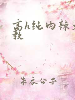 高h纯肉辣文调教