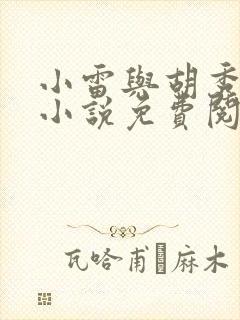 小雷与胡秀英的小说免费阅读全文