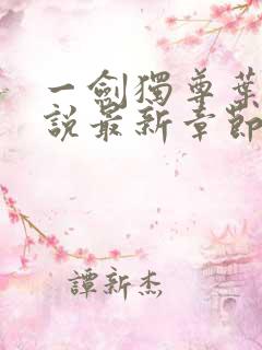 一剑独尊叶玄小说最新章节目录