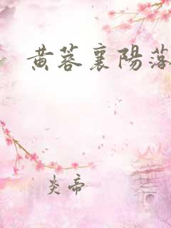 黄蓉襄阳落