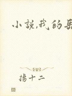 小说,我的岳母