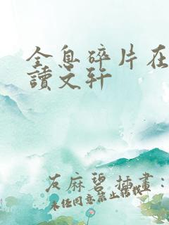 全息碎片在线阅读文轩