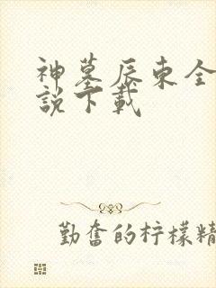 神墓辰东全本小说下载