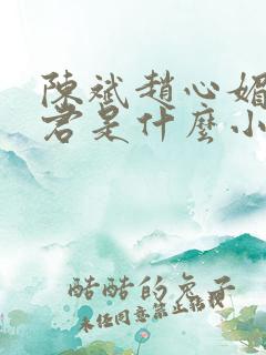 陈斌赵心媚高婉君是什么小说