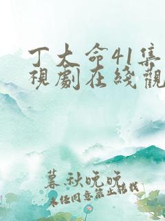 丁大命41集电视剧在线观看