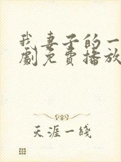 我妻子的一切韩剧免费播放