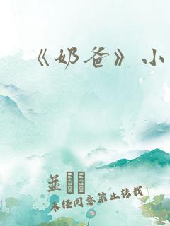 《奶爸》小说