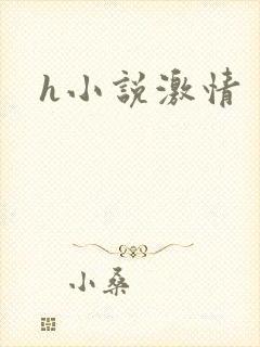 h小说激情