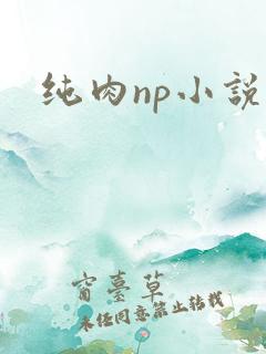 纯肉np小说h