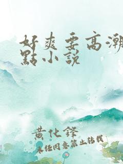 好爽要高潮了深点小说