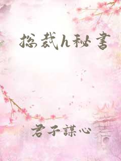 总裁h秘书