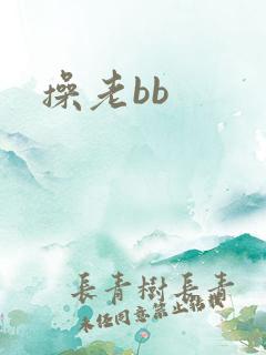 操老bb