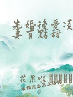 先婚后爱凌总追妻有点甜