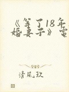 《等了18年新婚妻子》电视剧免费观看