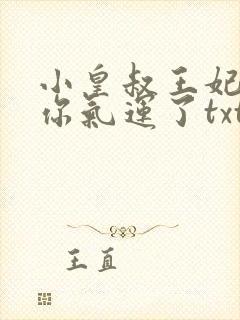 小皇叔王妃又薅你气运了txt