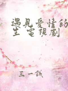 遇见爱情的利先生 电视剧