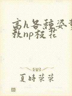 高h各种姿势调教np校花