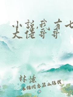 小说,我有七个大佬哥哥