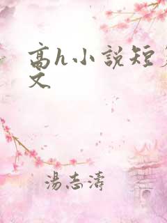 高h小说短篇辣文