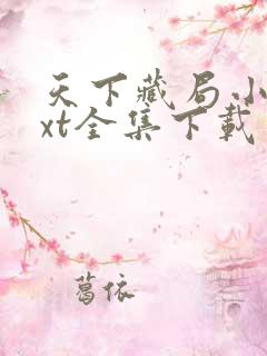 天下藏局小说txt全集下载