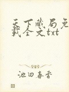 天下藏局免费下载全文txt